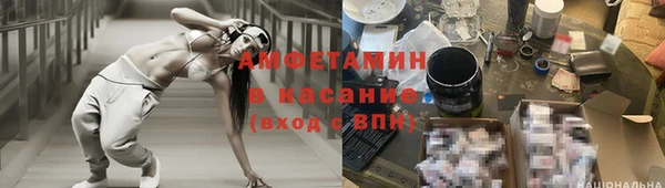 твердый Краснослободск