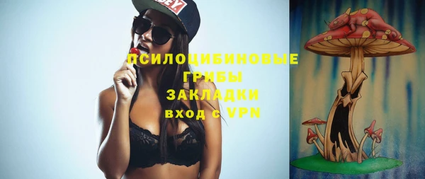шишки Красноперекопск