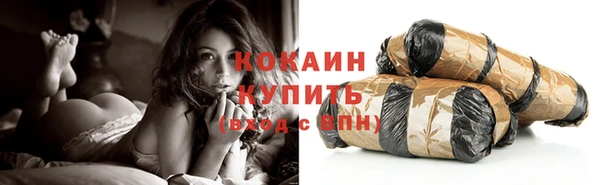 твердый Краснослободск