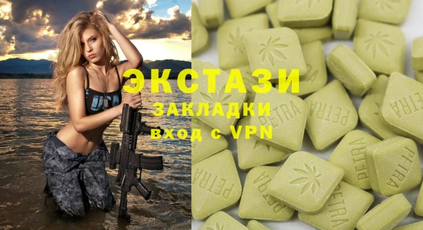 твердый Краснослободск