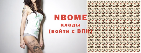 твердый Краснослободск