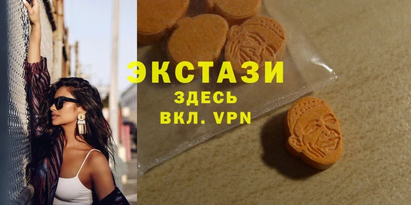 твердый Краснослободск